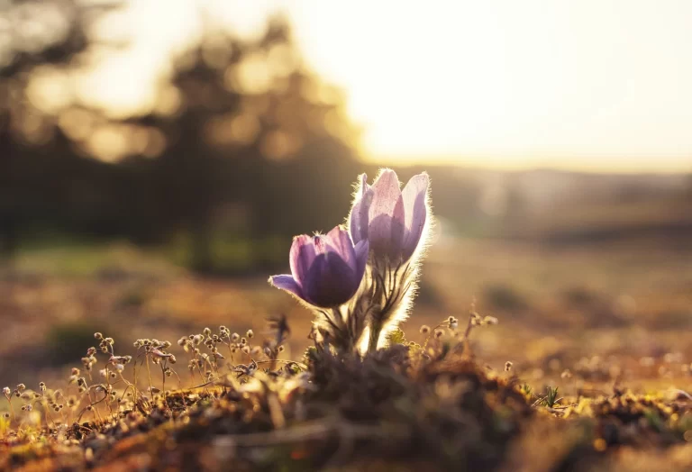 Claves para una vida plena: enfocarnos en lo que hacemos bien.